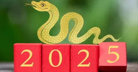 Čínský nový rok 2025 začíná: Co znamená pro západní svět? Rok Dřevěného Hada provázejí oslavy plné tradic a nám neznámé symboliky