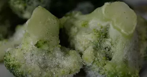 Nejen pro potraviny: Unikátní využití sáčků do mrazáku, o kterých jste možná nevěděli