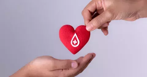 Krevní skupina odhalí typ vaší osobnosti, tvrdí japonský profesor: Áčko je kreativní, béčko divoké a zvědavé