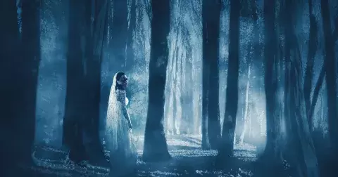 Dejte si pozor na mrtvou nevěstu u dálnice D1: Na 168. kilometru u Brna může potkat i vás!