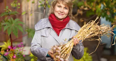 Zázračný lék pro seniory i děti: Česnek snižuje krevní tlak, působí protizánětlivě a pomůže od průjmu. Výsledky pocítíte za pár týdnů
