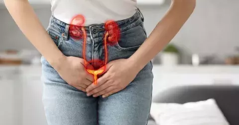 Záněty močových cest: Prevence a podpůrná léčba je důležitá