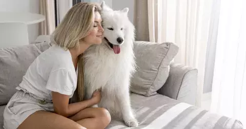 Kvíz: Designový, pracovní, nebo gaučák? Nebojte, nehodnotíme vás podle psa. Vyzkoušejte si, jak dobře znáte psí rasy