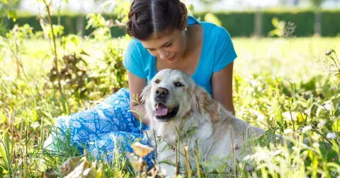 Kvíz: Jak dobře rozumíte svému psovi