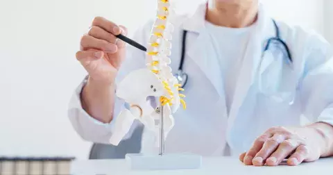 Osteoporóza nastupuje plíživě, varovné příznaky bývají přehlíženy: Rozpoznejte ty nejčastější, začínají se objevovat už po 35. roku života