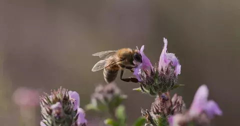 Tajemné hrdinky naší planety. Co všechno o nich víte? Otestujte se v našem kvízu