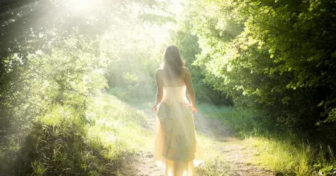 Jak uzdravit svou psychiku v dnešní uspěchané době? Vyzkoušejte japonskou lesní terapii, jejíž účinky byly prokázány vědeckými studiemi