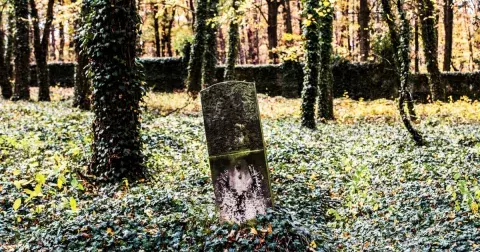 Hřbitov bláznů v Bohnicích: Místo, které nahání husí kůži