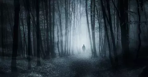 Záhady v Čechách a na Moravě: Mezi přízraky v Branišovském lese budí největší pozornost strom oběšenců. Důkazy nejsou, jen četné legendy