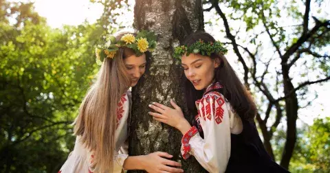 Keltský stromový horoskop: Každý máme svůj rodný strom, jehož síla nás ovlivňuje po celý náš život. Který je ten váš?