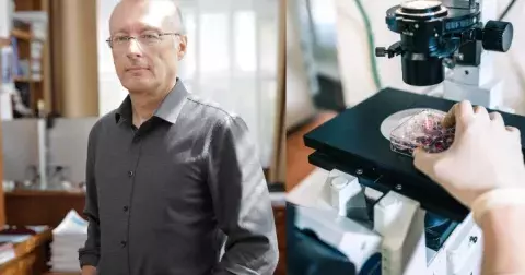 Jak spolu nádorové buňky komunikují a proč se rakovina vrací? Vědci mají vysvětlení