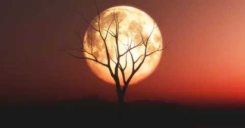 Zářijový úplněk v Rybách: Čas na otevírání srdce i intuice ovlivní i úplné zatmění, říká astrolog