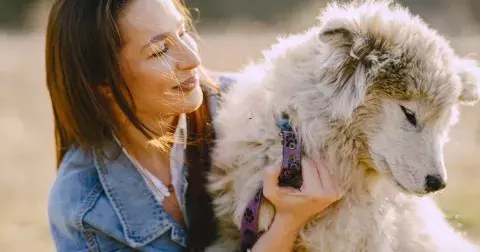 Kvíz: Jeden pták je lepší v hrsti než jiný na střeše. Odhalíte všechny lidové moudrosti, ve kterých figurují zvířata?