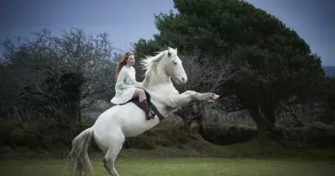 Tyto kozačky dostanou na podzim 2025 zcela novou roli. Nosit se budou s širokými nohavicemi