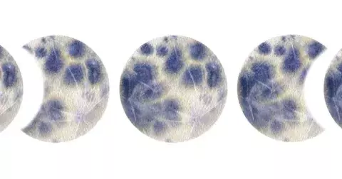 Jak různé fáze Měsíce ovlivňují náladu a energii lidí podle jejich znamení: Berani jsou neklidní při novoluní, úplněk nejvíc cílí na zemská znamení