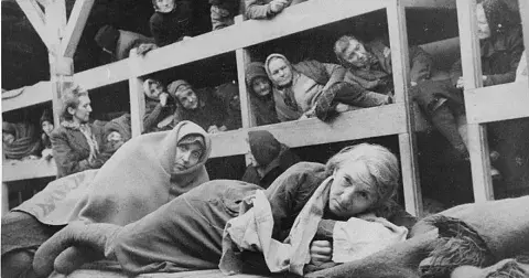 Kruté tresty v koncentračním táboře v Osvětimi: Na denním pořádku bylo bičování nebo klaustrofobická temná komora