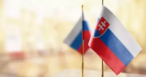 Kvíz: Korytnačka, lienka nebo cencúl. Rozumíte dobře slovensky? Otestujte svoje znalosti