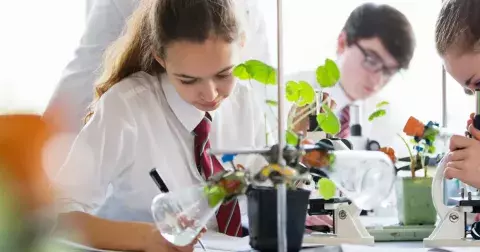 Kvíz: Jak jste na tom s přírodopisem? Odpovědi na tyto jednoduché otázky by měl znát každý, kdo dokončil základní školu