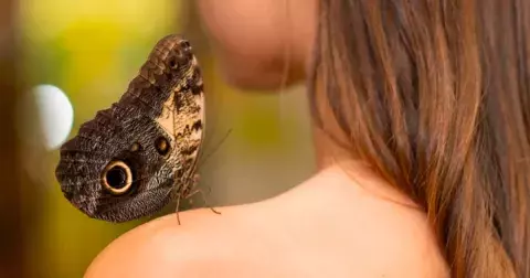 Jaké zvíře jste podle horoskopu duše? Blíženci jsou radostní jako kolibřík, Váhy ovládá labuť