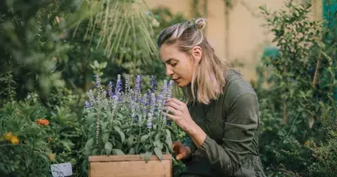 Kvíz o bylinkách: Která je na nervy a která na kašel? Zkuste, zda byste obstáli jako bylinkářka