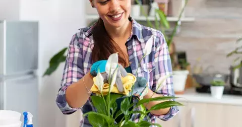 8 rostlin, které vnesou pozitivní energii do vašeho domova: Víte, které čistí prostor, přinášejí blahobyt a lásku?