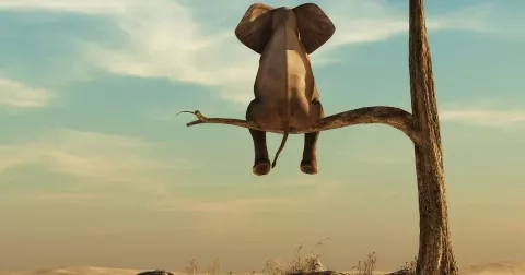 Horoskop afrických domorodců: Znamení jsou odlišná od klasických znamení zvěrokruhu. Máte povahové vlastnosti Soudce, Cestovatele nebo Dítěte světa?