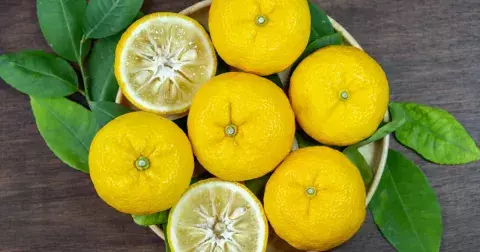 Ochutnejte méně známý citrus, který obsahuje mnohem více vitamínu C než citron. Navíc úžasně chutná