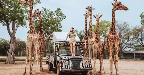 Kvíz.: Znáte ty největší šampiony z říše přírody? Zkuste zvířecí olympiádu