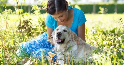 Kvíz: Jak dobře rozumíte svému psovi
