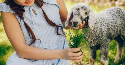 Kvíz: Příroda se konečně probouzí. Připomeňte si hodiny přírodopisu v dnešním kvízu