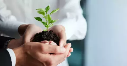 Malý krok pro nás, velký krok pro udržitelnost naší planety: Ekologické projekty, které pomáhají měnit svět k lepšímu