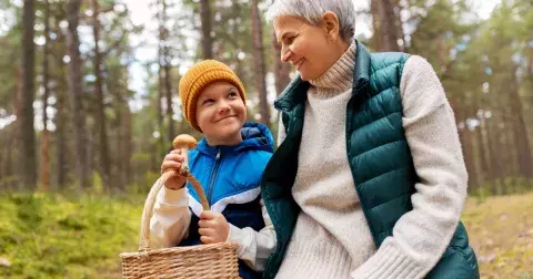 Čínské houby mohou podpořit imunitu a zatočit se zdravotními problémy. Reishi pomáhá proti stresu, Cordyceps dodá energii