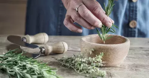 Zázračná bylinka, která se doma neztratí. Zažehná jarní únavu a podpoří bystrou mysl