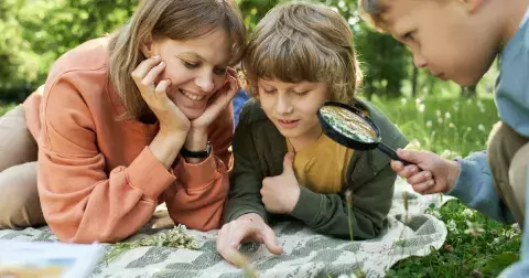 Kvíz: Mikrosvět pod lupou. Poznáte hmyz z vaší zahrady? Zkuste otázky na brouky, motýly i méně známé hmyzí sousedy