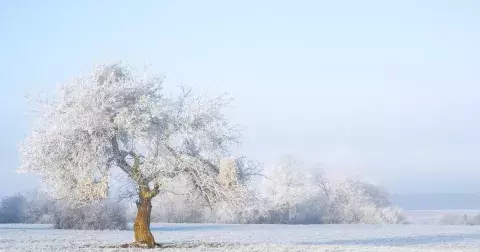 Kvíz: Pamatujete si, co věštili naši předkové? Otestujte se, jestli znáte zimní pranostiky