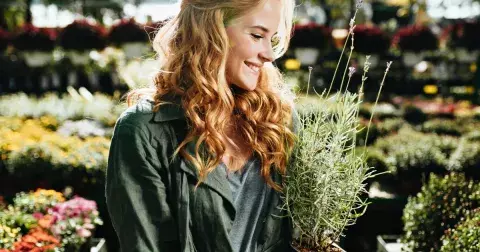 Od bolestivé menstruace po pocení v menopauze: Objevte sílu ženských bylinek, které tělu vrátí rovnováhu