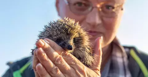 Velký zvířecí kvíz: Dokážete podle fotky poznat, o jakého tvora se jedná?