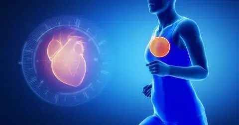 Smutek ovlivňuje plíce: Poznejte, jaký vliv mají emoce na naše orgány a získejte zpět své zdraví díky správným potravinám